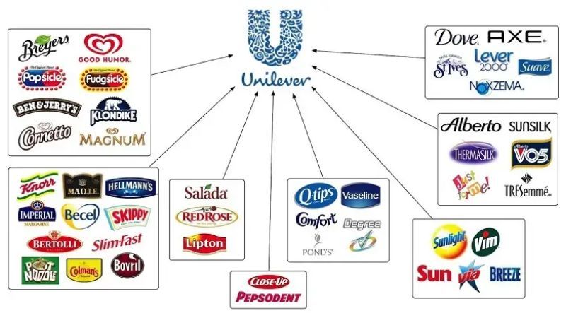 Một số thương hiệu nổi bật của Unilever